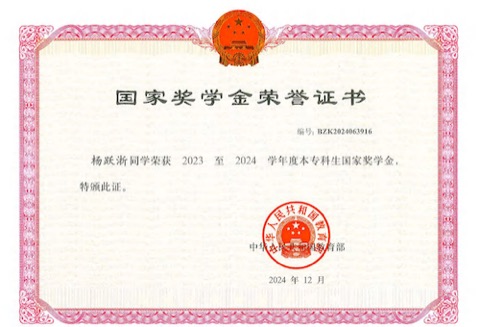 The Undergraduate National Scholarship