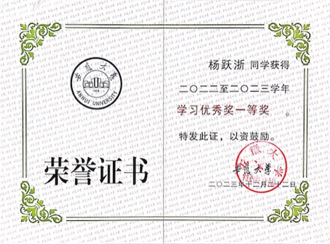 Study Excellence Award First Prize