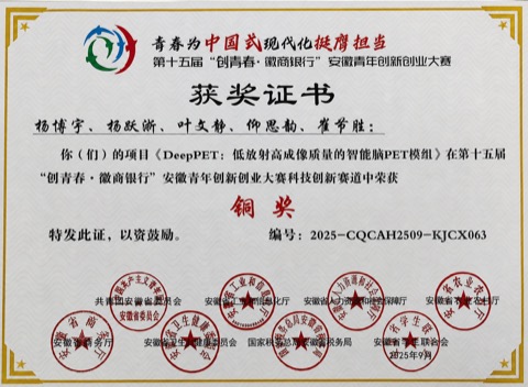 Bronze Award in the Anhui Youth Innovation and Entrepreneurship Competition