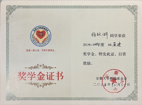 BYD Scholarship