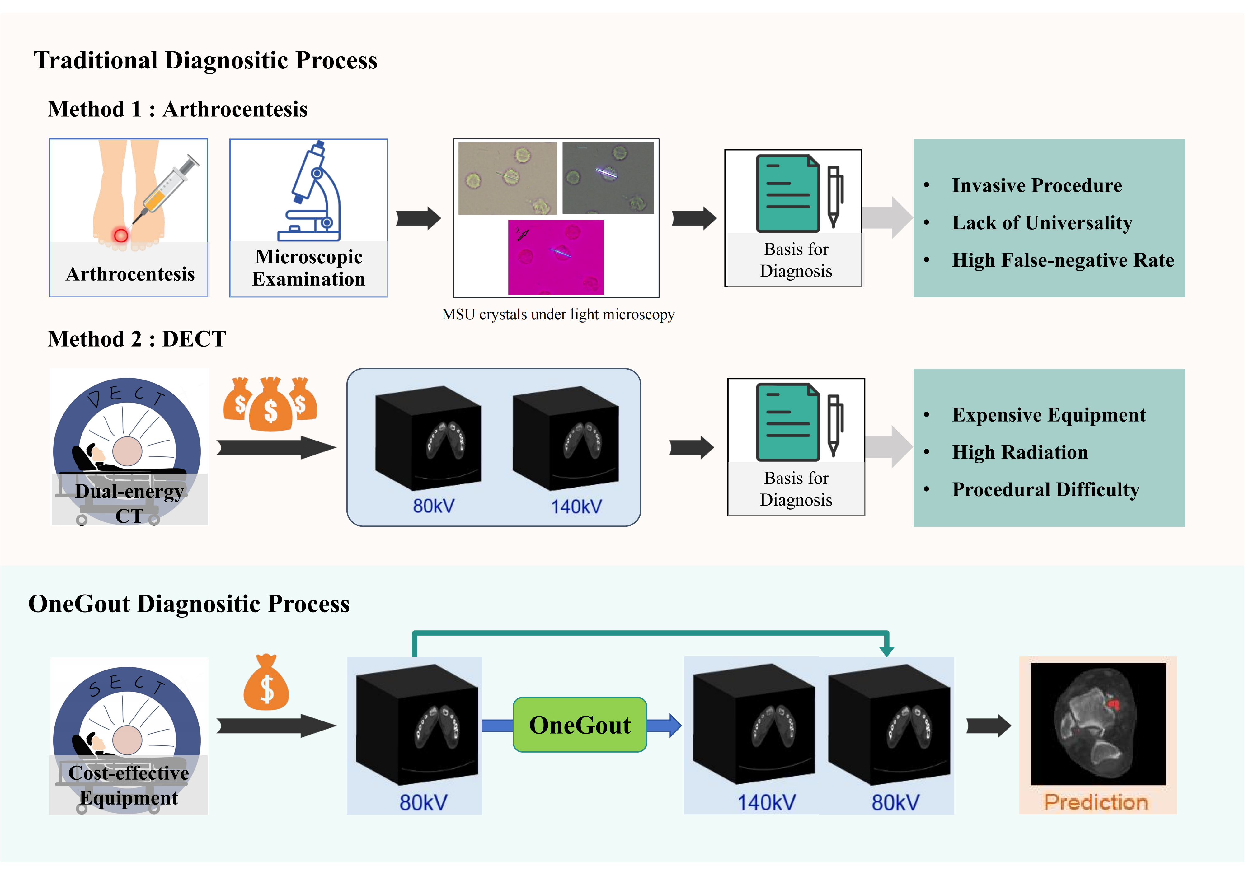 OneGout overview